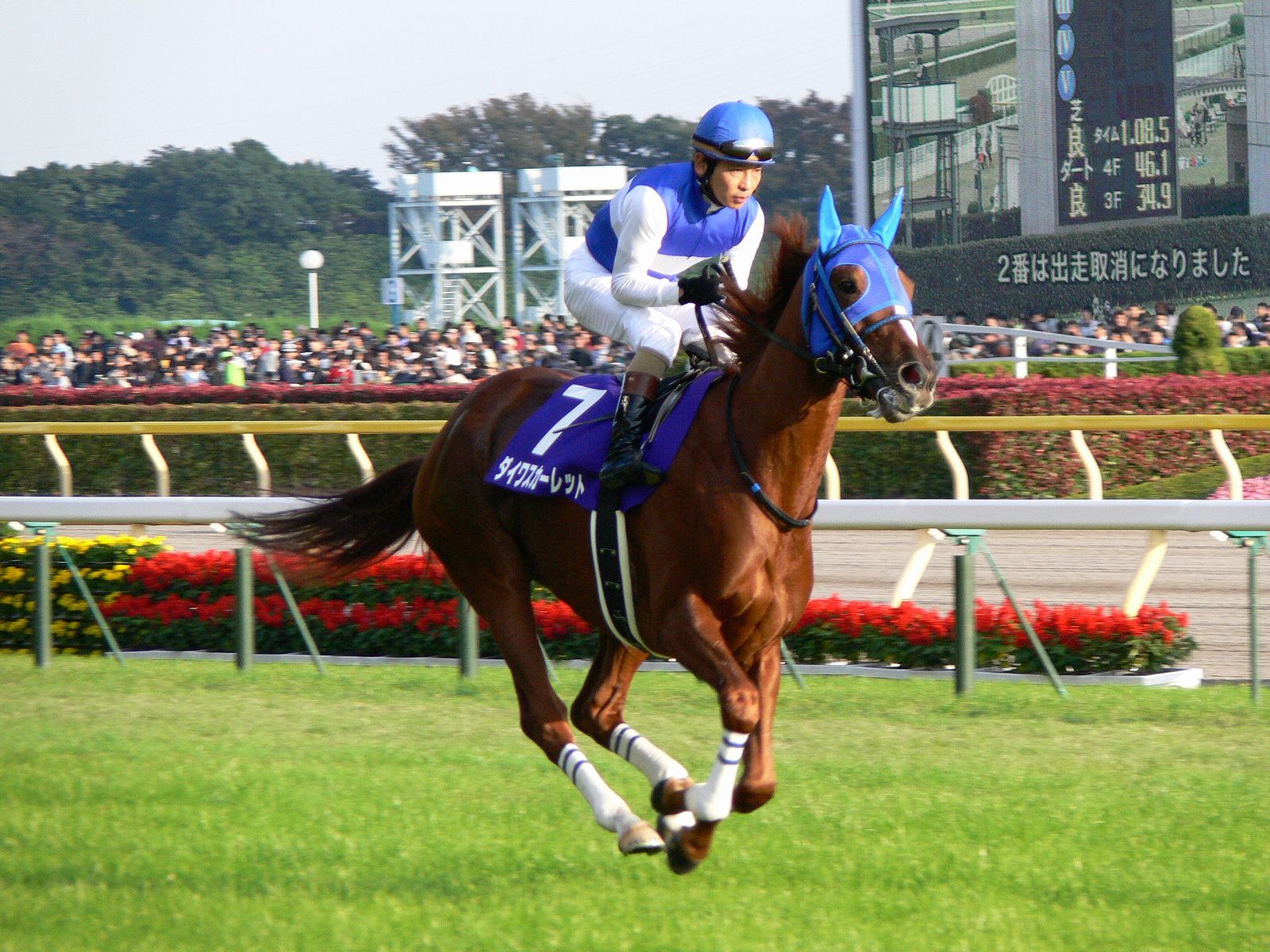 天皇賞（秋）に出走したダイワスカーレット