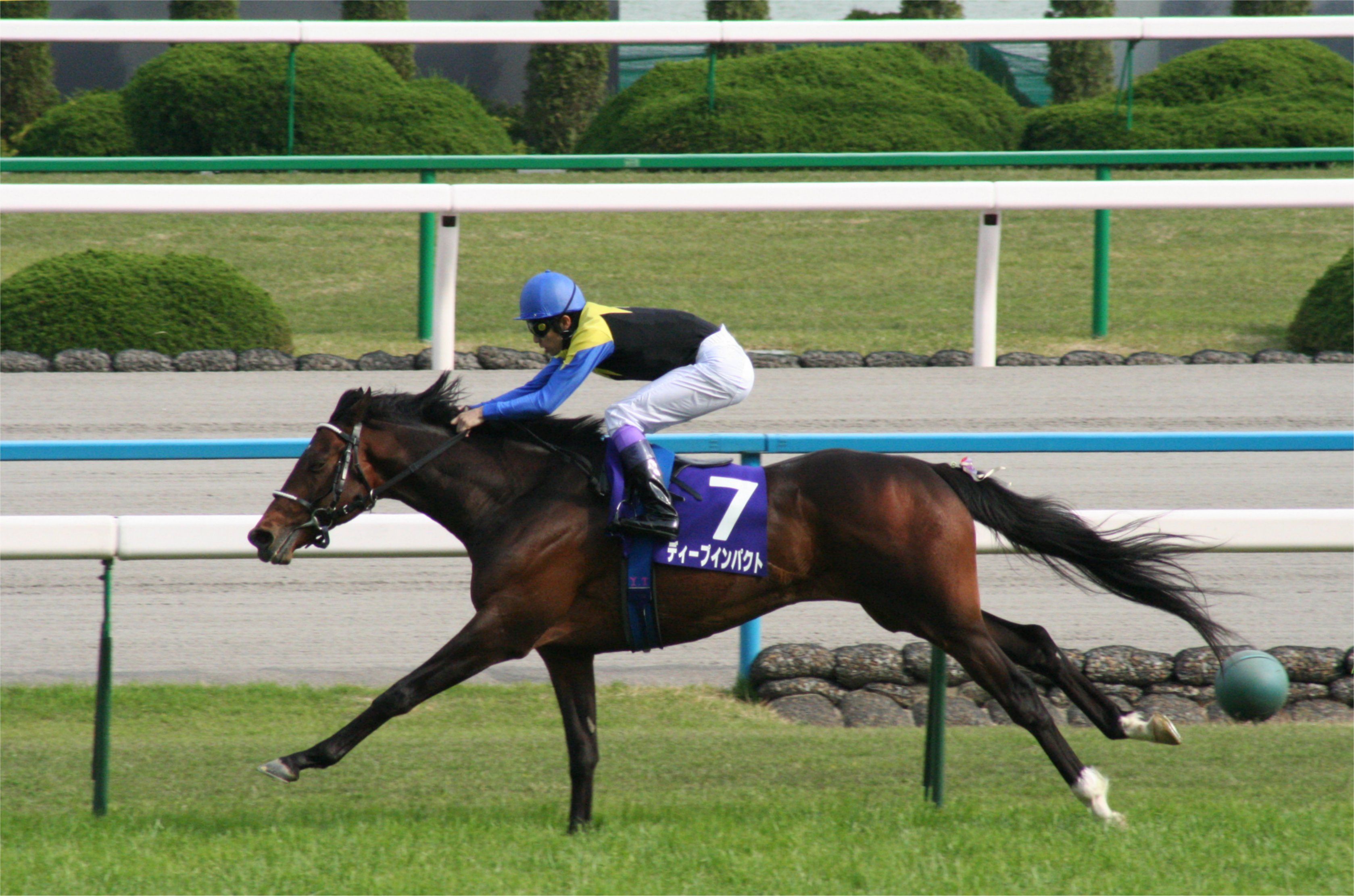 天皇賞（春）で京都競馬場の直線を駆けるディープインパクト