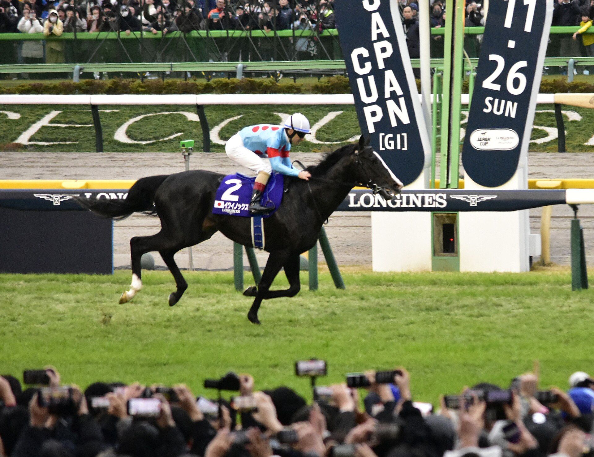 第43回ジャパンカップでのイクイノックス