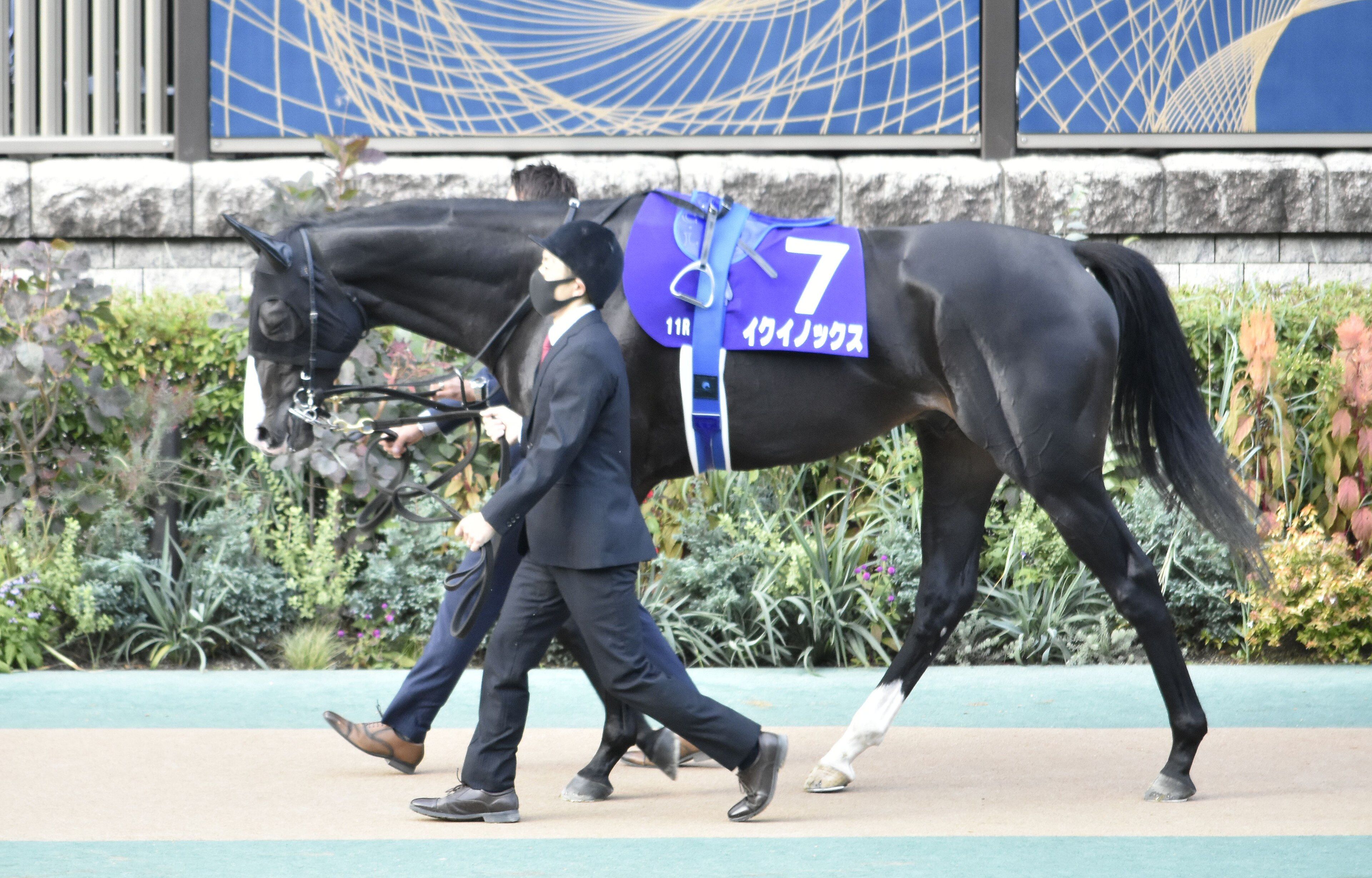 天皇賞（秋）当日、東京競馬場のイクイノックス