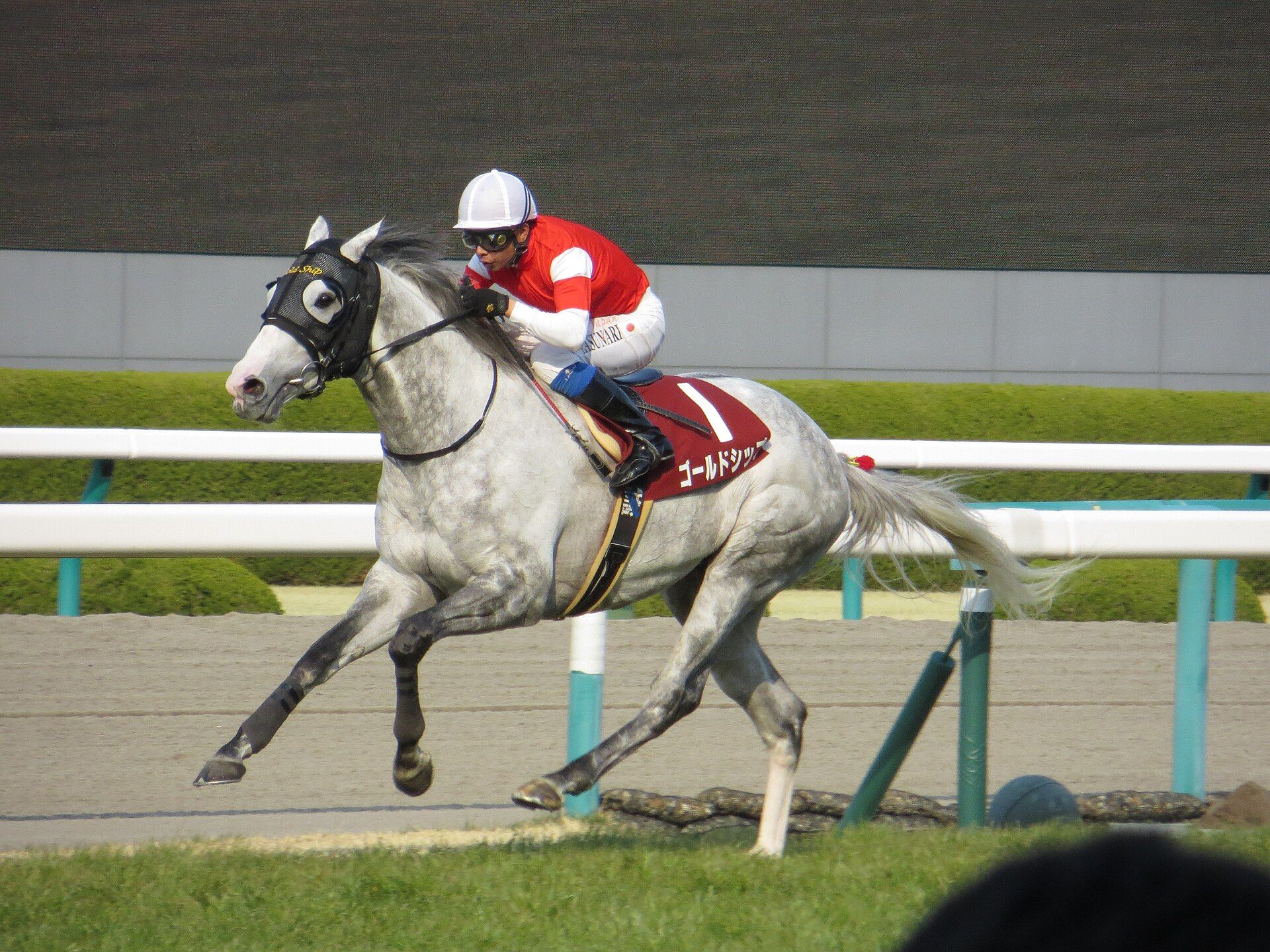 阪神大賞典でのゴールドシップ