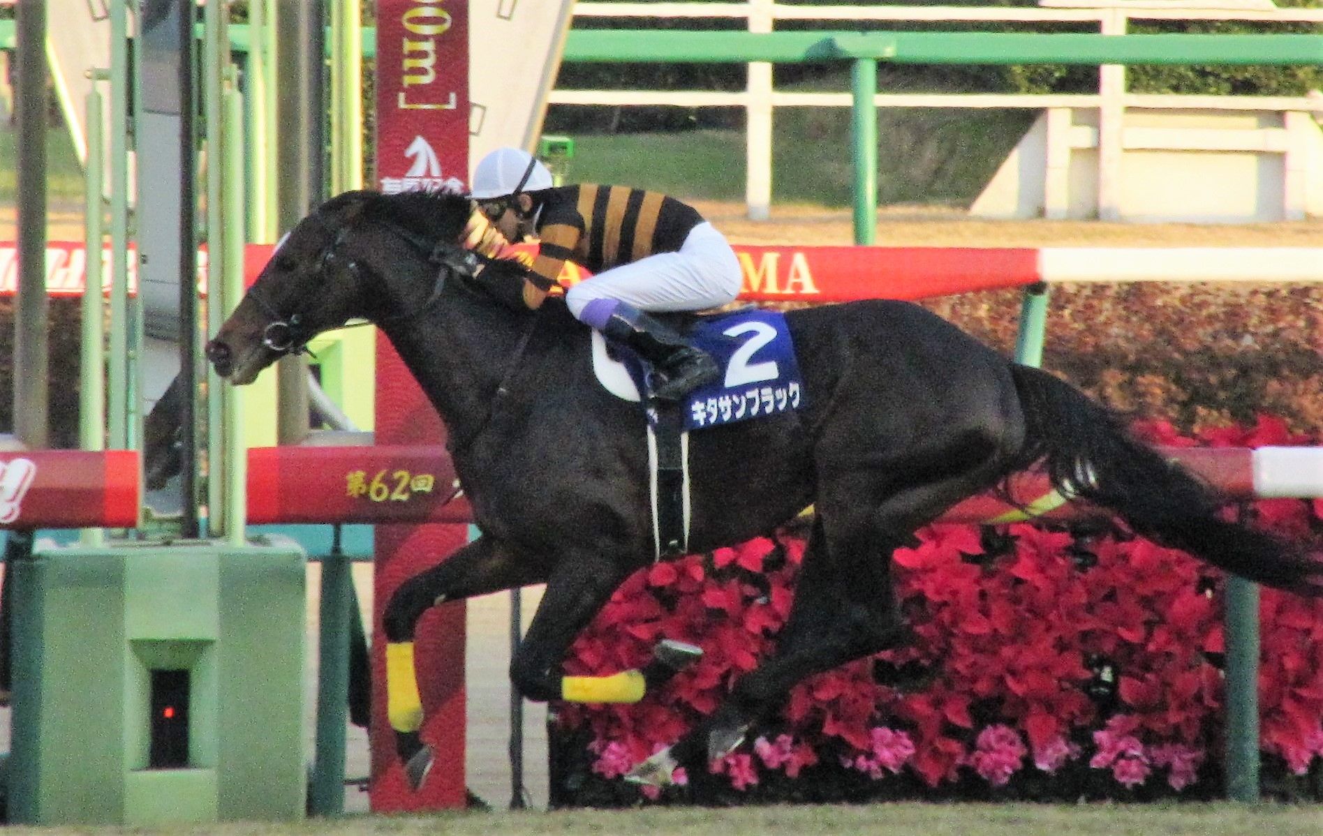 第62回有馬記念を制したキタサンブラック