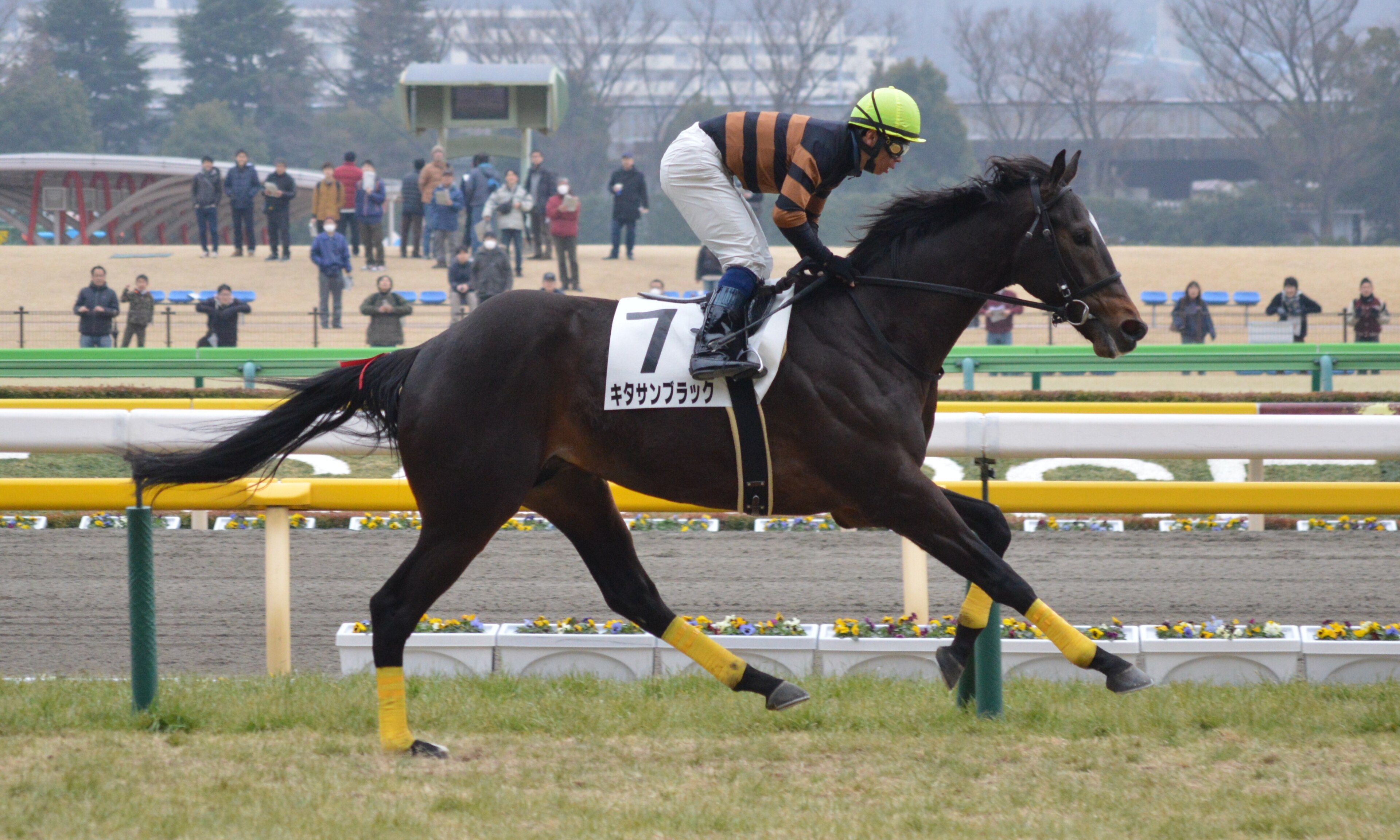 東京競馬場を駆けるキタサンブラック