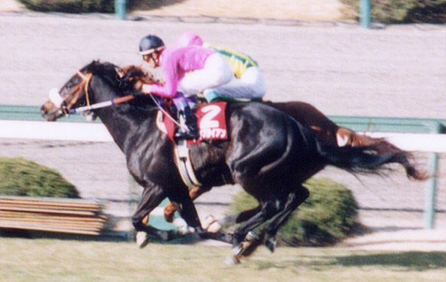 阪神競馬場のナリタブライアン