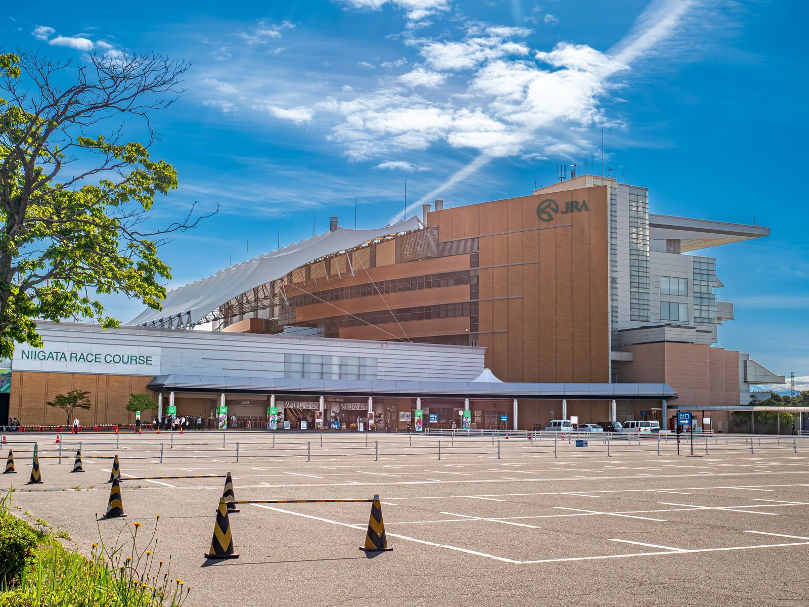 新潟競馬場のスタンド