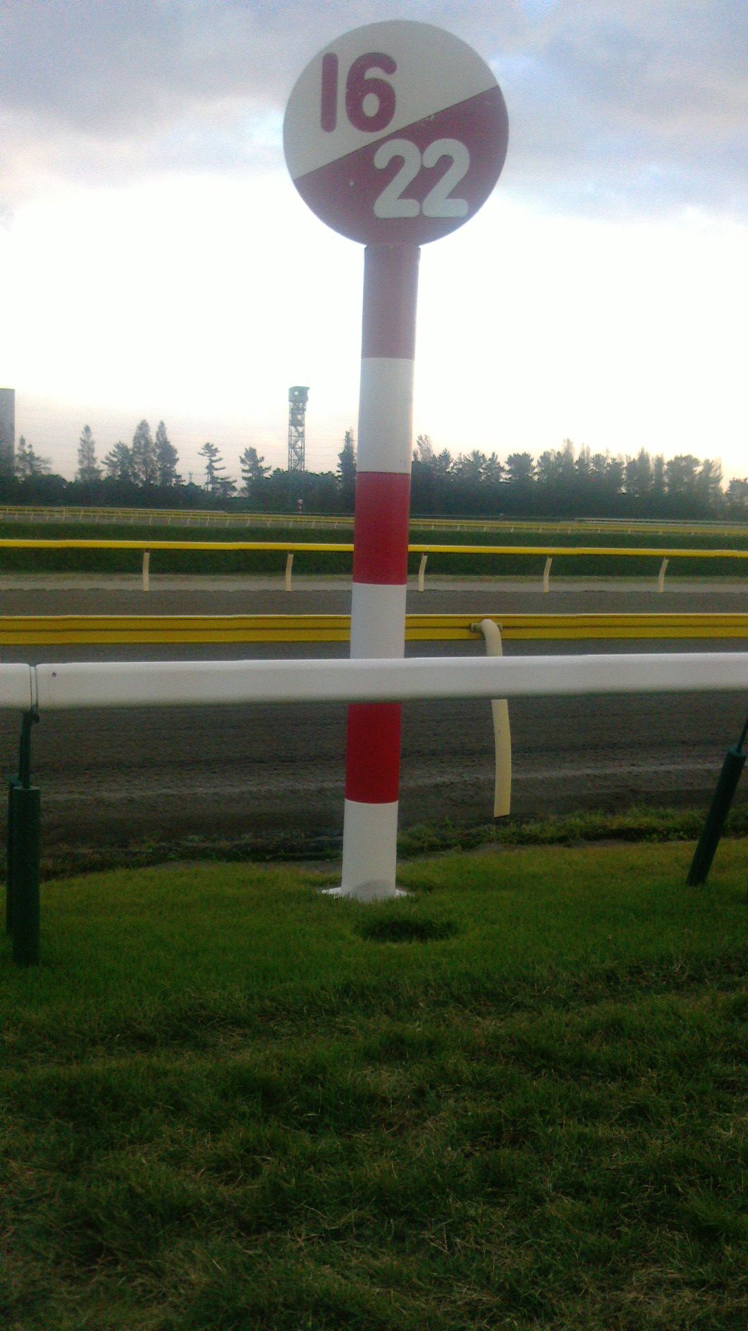 新潟競馬場のハロン棒