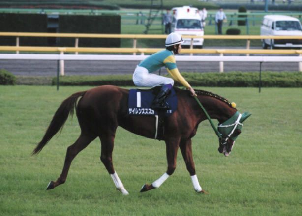 東京競馬場のサイレンススズカ